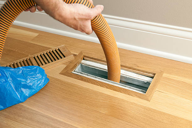 Best Air Vent Cleaning Services  in Stanley, ND